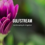 Gulfstream Landscaping